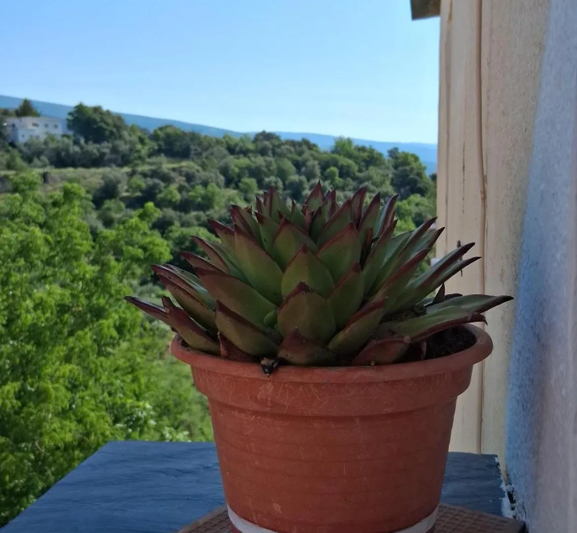 Guest house Pension La Fuente Yegen